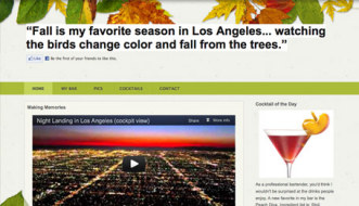 Screen shot of website created on xceldataweb.com